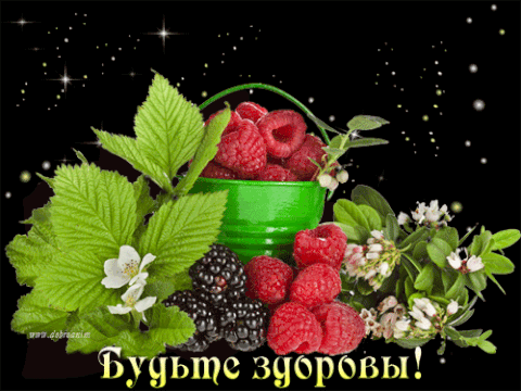 Открытка Открытки скорейшего выздоровления - Открытка с малиной и ежевикой | Красивая открытка #95