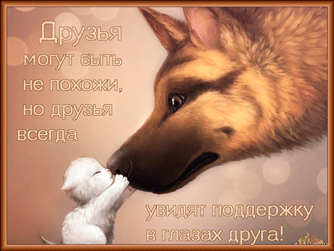 Открытка Открытки о дружбе - Открытка с собакой и котенком: трогательный момент | Красивая открытка #236