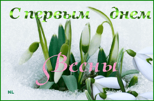 Открытка  С первым днем весны - Подснежники под снегом: Открытка весны | Красивая открытка #64