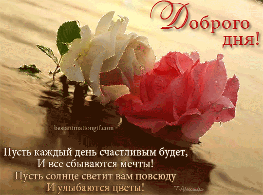 Открытка добрый день - Открытка с розами: С Днём Рождения!  Bestanimationgif.com | Красивая открытка #98