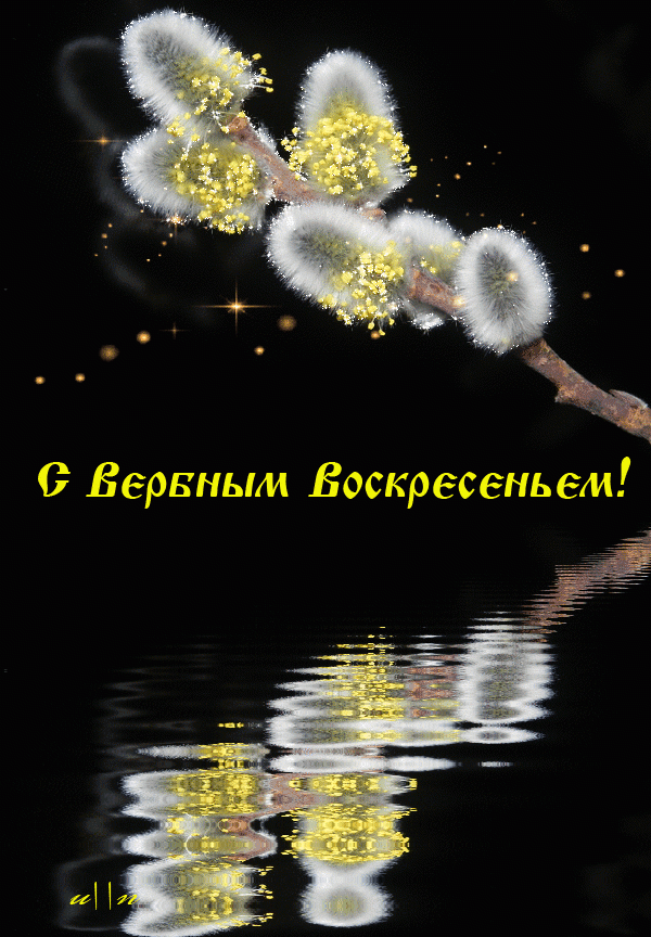 Открытка Вербное Воскресенье - Весенние вербы: анимированная открытка | Красивая открытка #111