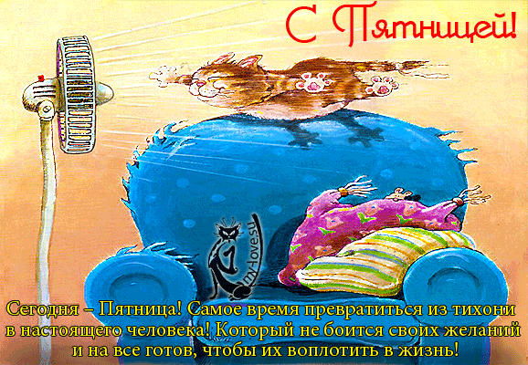 Открытка открытки с пожеланиями хорошей пятницы  - Открытка: Забавный кот в машине. Прикольные поздравления | Красивая открытка #2