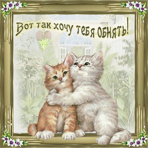 Открытка Обнимаю - Две рыжие кошки обнимаются на открытке | Красивая открытка #85