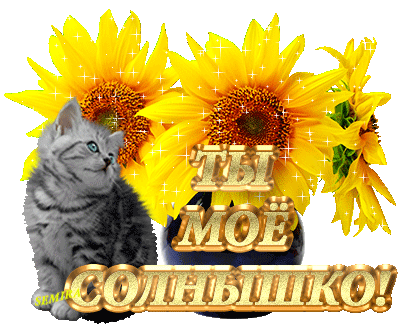Открытка Открытки с солнышком - Открытка с котенком и подсолнухами | Красивая открытка #33