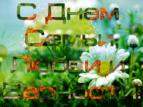 Открытка Открытки с днем семьи, любви и верности - Открытка с цветами. С днем! | Красивая открытка #19