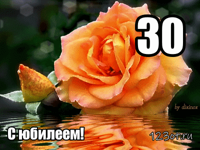 Открытка Открытки на 30 лет - С юбилеем! Красивая открытка с розой | Красивая открытка #103