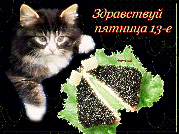 Открытка Открытки на пятницу 13 - Котенок и икра: Открытка с котиком и деликатесом | Красивая открытка #110