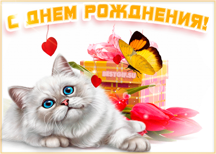 Открытка с днем рождения - Открытка с котенком и цветами  С Днем Рождения! | Красивая открытка #16