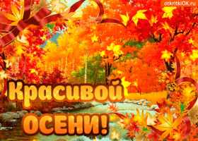 Открытка Первый день осени - Осенние открытки: яркие листья и поздравления | Красивая открытка #66