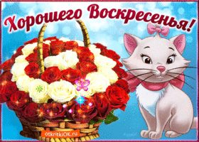 Открытка Открытки на воскресенье - Открытка с котенком и розами | Красивая открытка #121