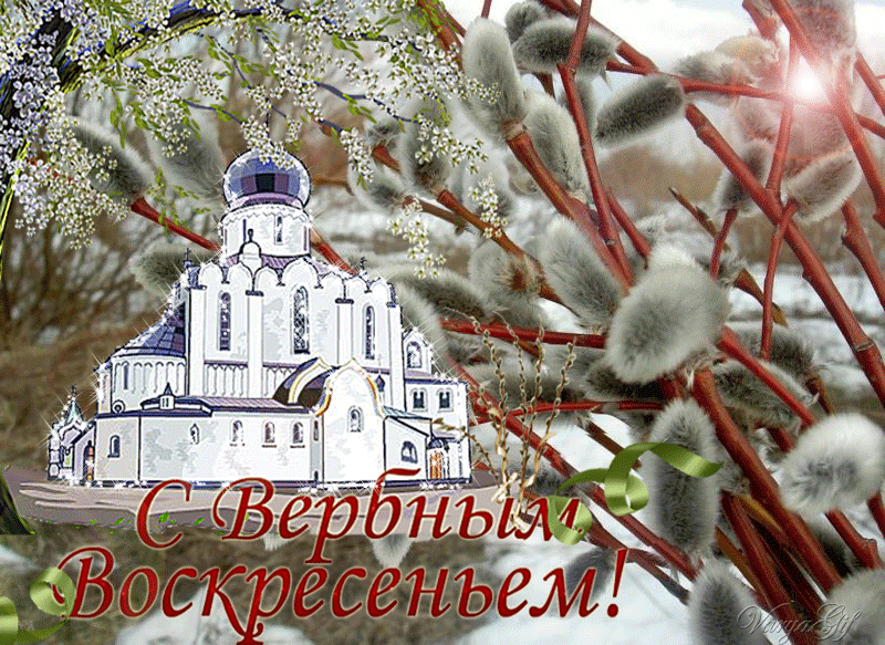 Открытка открытки с вербным воскресеньем  - Открытка с Пасхой: церковь, ветки вербы | Красивая открытка #36
