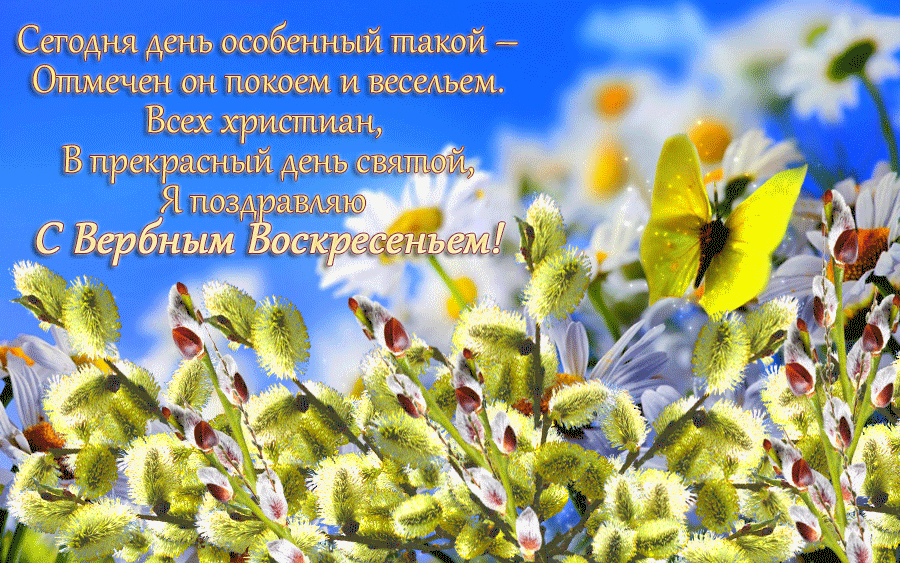 Открытка Вербное Воскресенье - Весенний луг: одуванчики и подорожник. | Красивая открытка #24