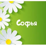 Открытка открытки с именем Софья - Открытка с ромашками: милые цветы на зеленом фоне | Красивая открытка #25