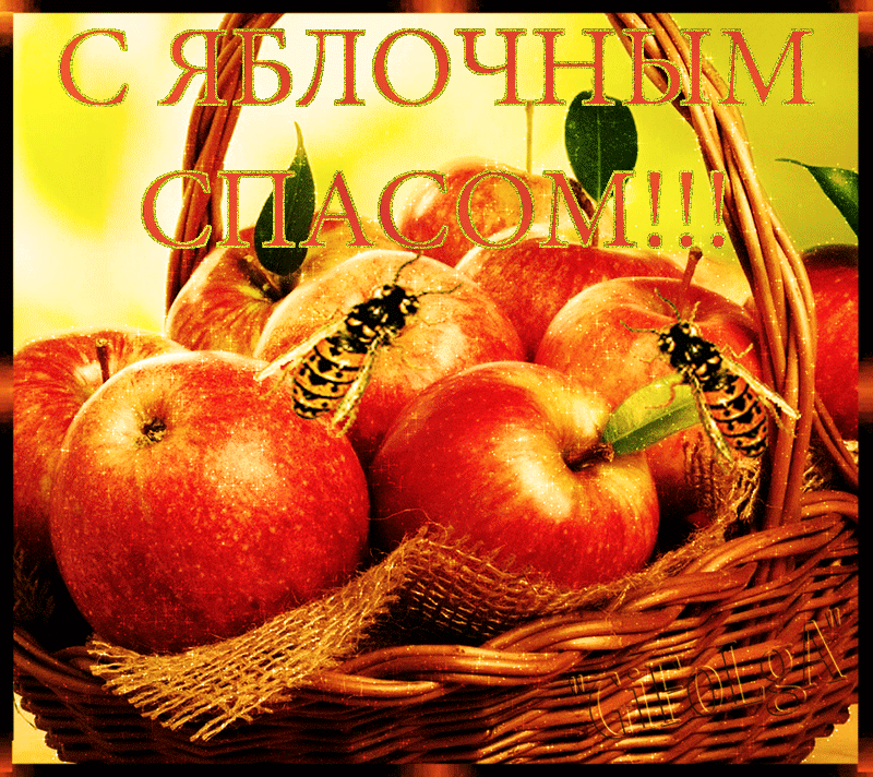 Открытка Яблочный спас - Яблочная открытка - Яркий подарок! | Красивая открытка #198