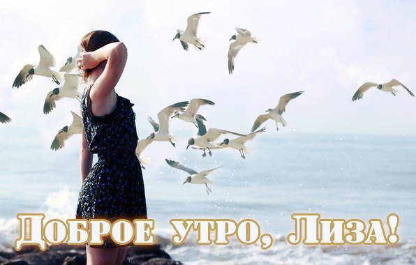 Открытка открытки с именем Елизавета  - Девушка на фоне моря и чаек - открытка с природой | Красивая открытка #14