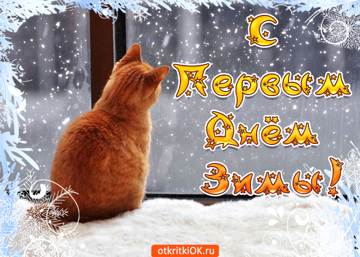 Открытка Первый день зимы - Рыжий кот у окна, снегопад. Открытка с котом. | Красивая открытка #90