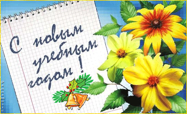 Открытка День знаний - Открытка с подсолнухами и новогодней символикой | Красивая открытка #32