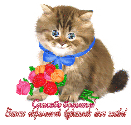 Открытка Благодарность - Котенок с цветами: Открытка с милым котенком | Красивая открытка #97
