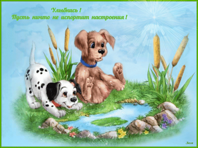 Открытка Открытки улыбнись - Две щенка у пруда: открытка с щенками | Красивая открытка #62