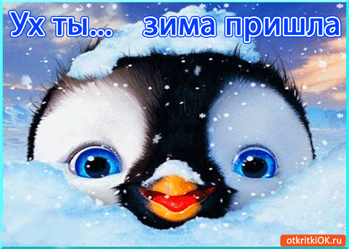 Открытка открытки с первым днем зимы  - Открытка с пингвиненком на фоне снега | Красивая открытка #77