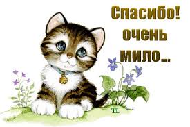 Открытка открытки с благодарностью  - Милый котенок на открытке: поздравления и пожелания | Красивая открытка #30