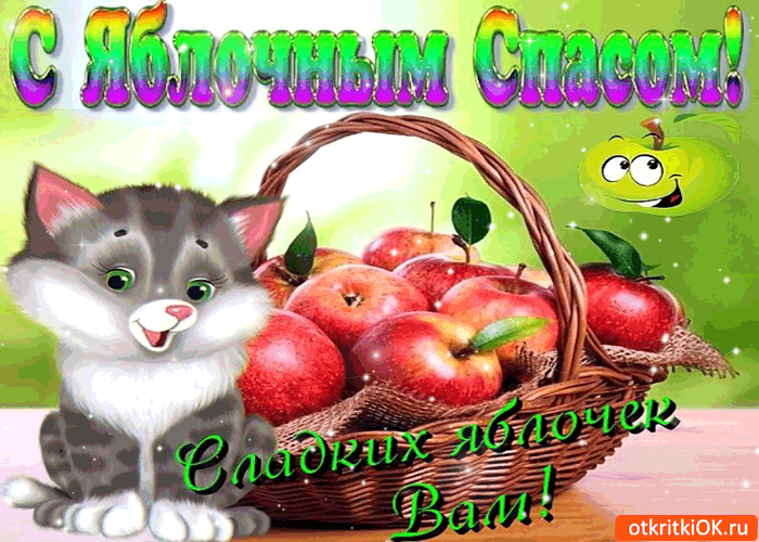 Открытка Открытки с Яблочным Спасом - Открытка с котенком и яблоками | Красивая открытка #58
