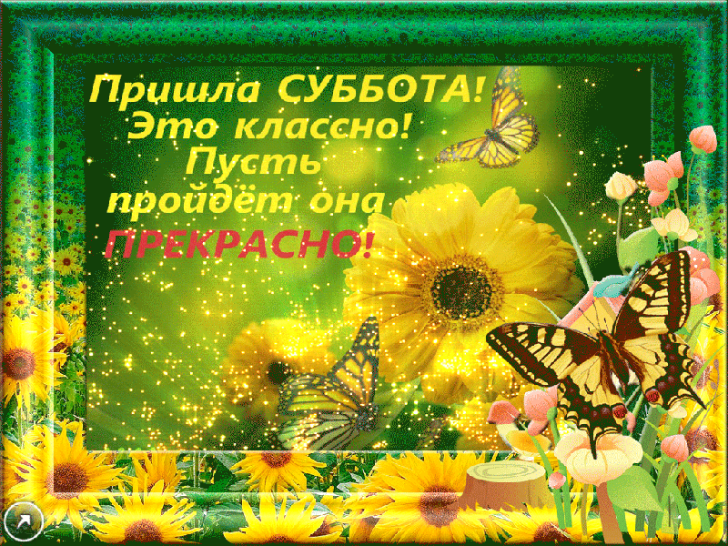 Открытка Открытки на субботу - Открытка с цветами и бабочкой | Красивая открытка #115