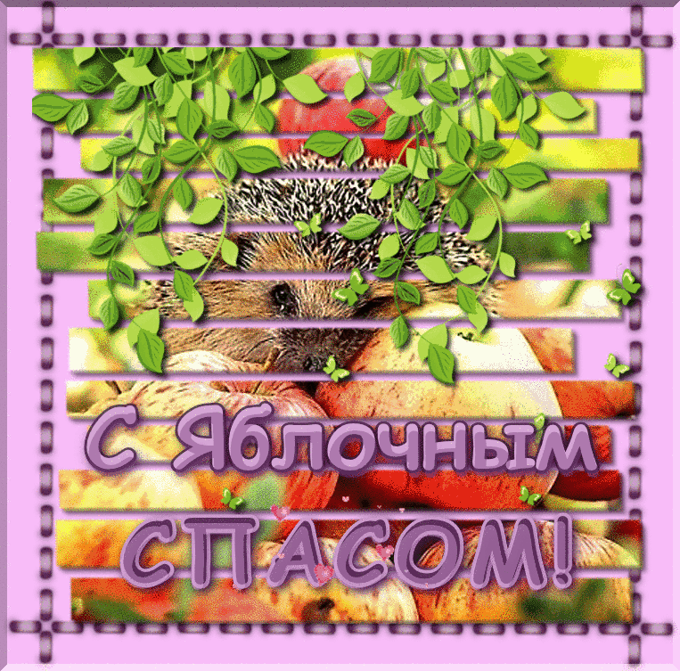 Открытка Яблочный спас - Открытка с ежом и яблоками | Красивая открытка #140