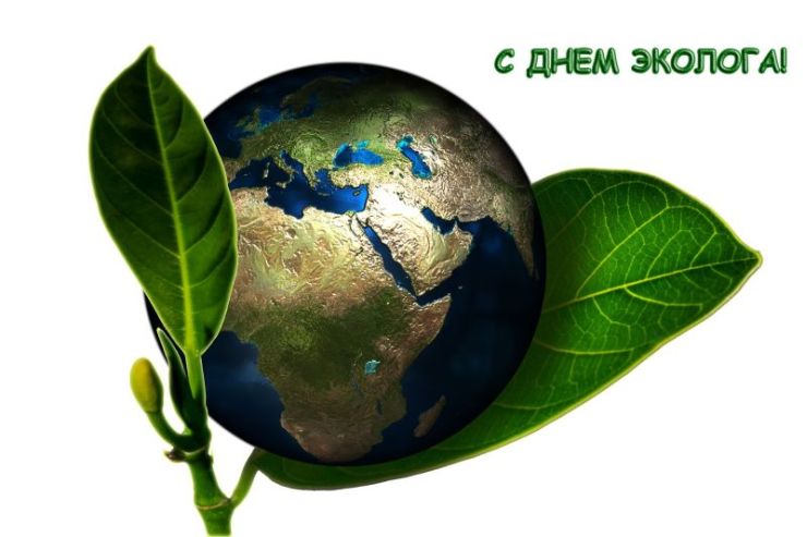 Открытка День эколога - Открытка с Землёй и листьями | Красивая открытка #41