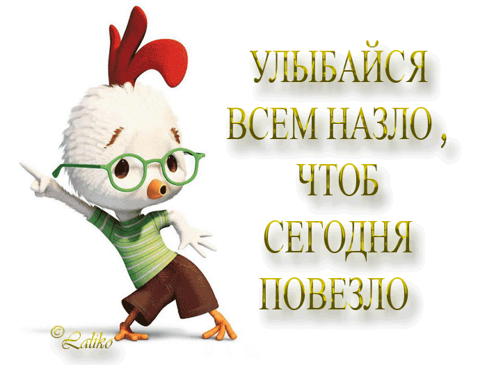 Открытка Открытки на вторник - Открытка с курицей в очках: смешное поздравление | Красивая открытка #175