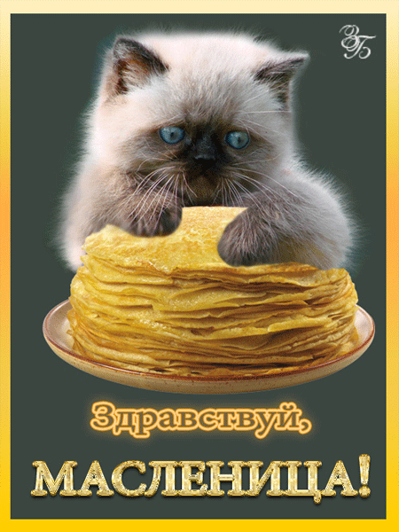 Открытка Масленица - Котенок и блины: Открытка с Масленицей | Красивая открытка #265
