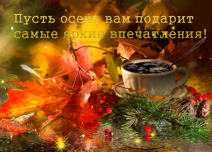 Открытка Открытки осенняя пора - Осенние листья и чашка кофе: открытка с настроением | Красивая открытка #205
