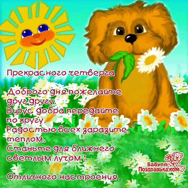 Открытка Открытки на четверг - Открытка: Зайчик и цветы, поздравления с праздником | Красивая открытка #58