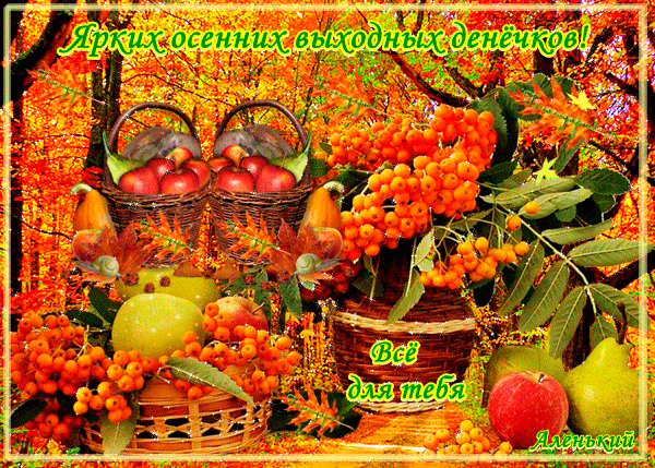 Открытка Открытки осенняя пора - Открытка с яблоками, грушами и рябиной на фоне осенней листвы | Красивая открытка #68