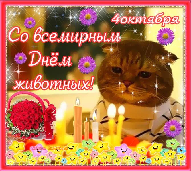 Открытка Открытки с днем защиты животных - Открытка с котенком на День рождения | Красивая открытка #15