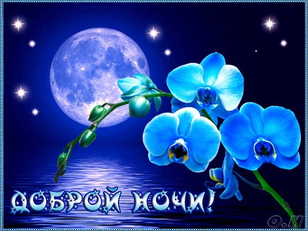 Открытка Доброй ночи - Открытка: Синяя орхидея на фоне луны. | Красивая открытка #93