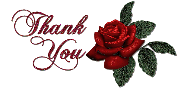 Открытка Для тебя - Красная роза с надписью "Thank You" | Красивая открытка #231