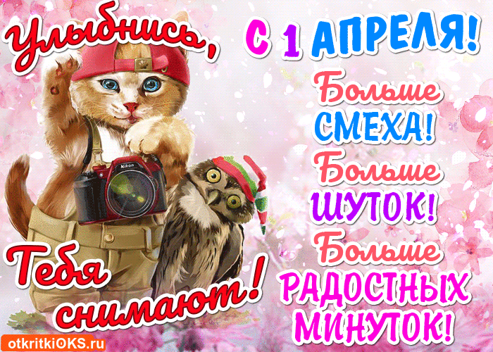 Открытка День смеха - Забавная открытка с котенком и фотоаппаратом | Красивая открытка #96