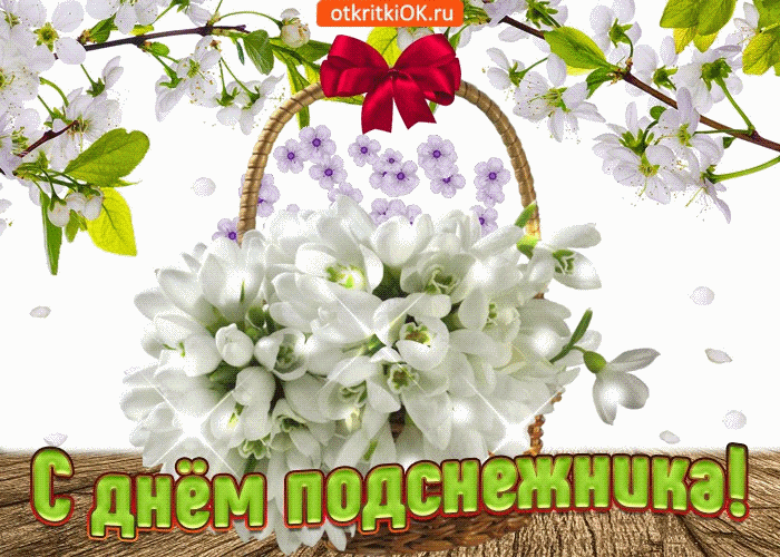 Открытка С днём подснежника - Открытка: Цветочная корзинка с цветами | Красивая открытка #24