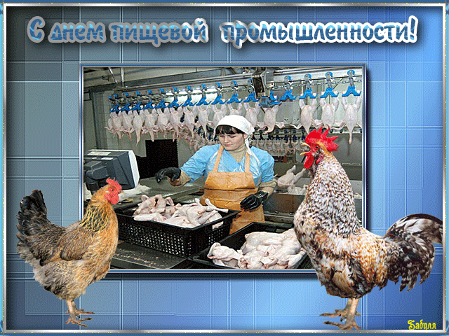 Открытка Открытки на день работников пищевой промышленности - Курица на производстве: забавная открытка | Красивая открытка #1