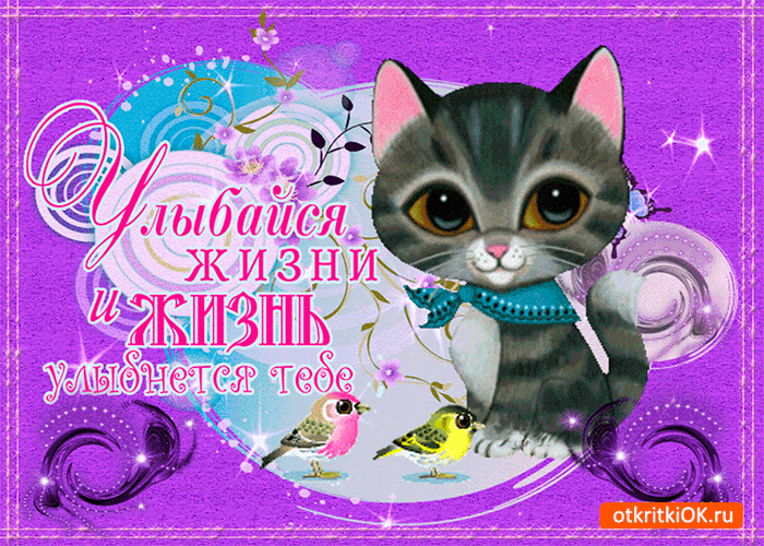 Открытка Улыбнись - Открытка с котенком и птичкой — оригинальное поздравление | Красивая открытка #153