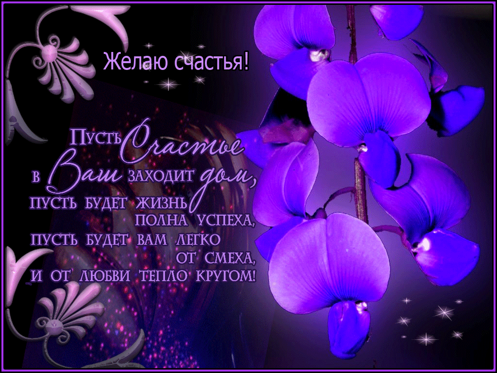 Открытка Открытки желаю счастья - Открытка с фиалками: С Днем рождения! | Красивая открытка #54