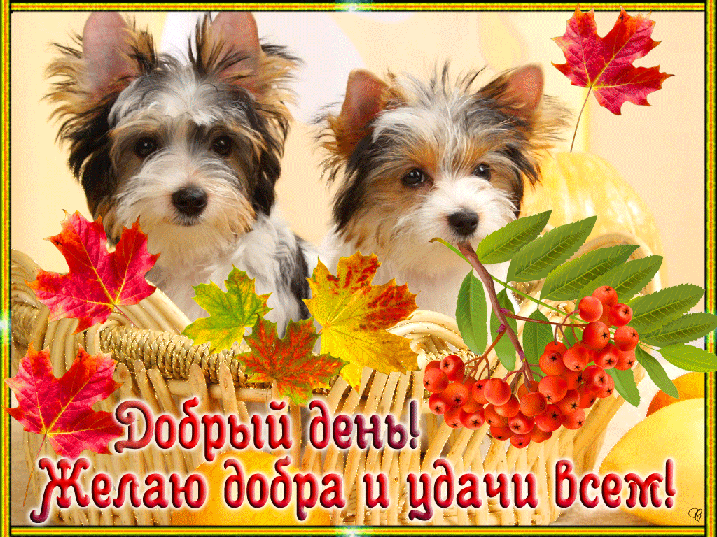 Открытка добрый день! - Добрый день! Желаю добра и удачи всем! | Красивая открытка #2