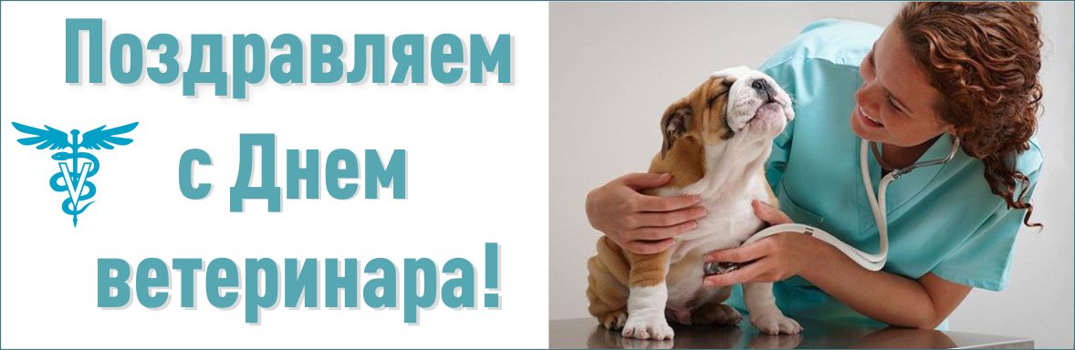 Открытка Открытки с днем ветеринара - Ветеринар с собакой: поздравительная открытка | Красивая открытка #14