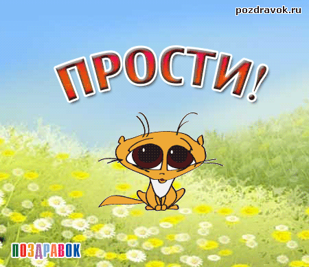 Открытка открытки с извинениями  - Открытка с котенком на лугу. Поздравительная открытка. | Красивая открытка #27