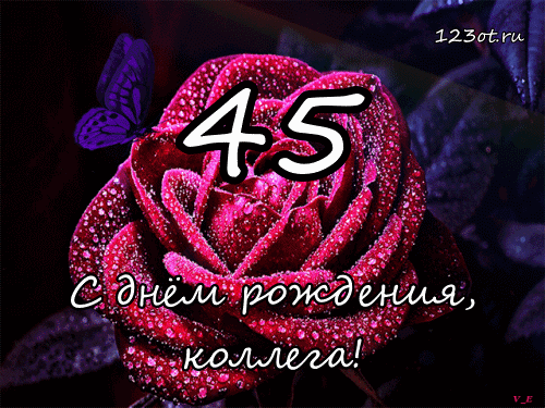Открытка Открытки на 45 лет - Открытка с Рождением: Красная роза и бабочка | Красивая открытка #144