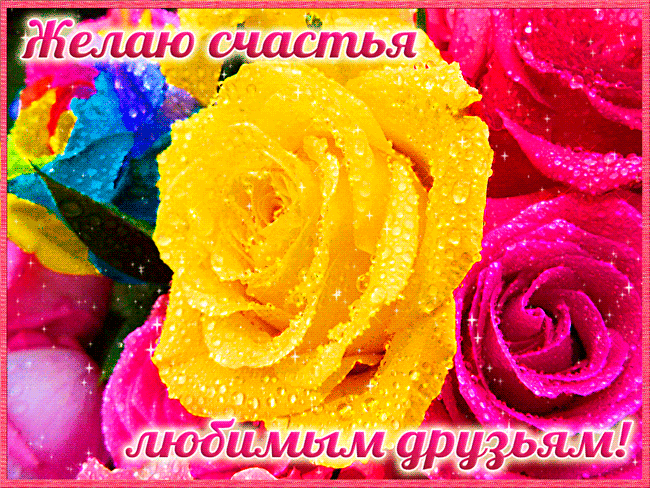 Открытка Открытки желаю счастья - Желтые и розовые цветы, капли росы | Красивая открытка #83