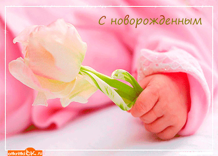 Открытка С прибавлением! - Открытка с младенцем и цветком | Красивая открытка #28
