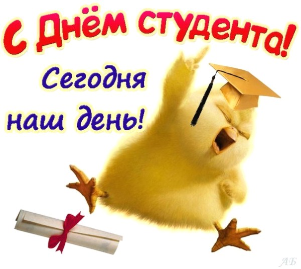 Открытка День студента - Открытка с цыплёнком в шапочке и дипломом | Красивая открытка #91