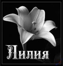Открытка открытки с именем Лилия - Лилия в черно-белом стиле: открытка с цветком | Красивая открытка #23